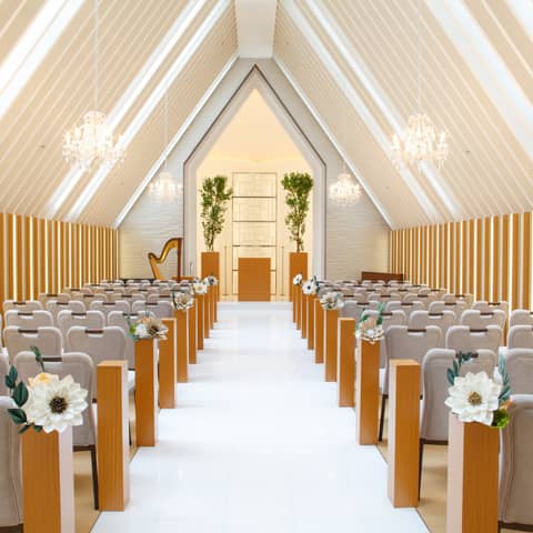 【HP限定】SPRING PLAN ★2026年 4月 ~ 6月★