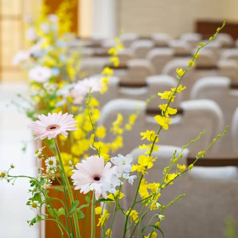 【HP限定】SPRING PLAN ★2026年 4月 ~ 6月★