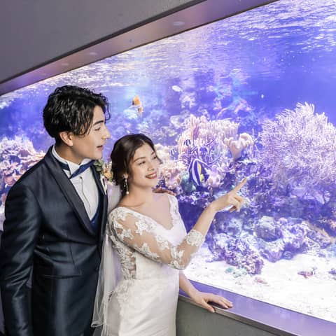 リゾートフォトウェディング 鳥羽水族館付きプラン