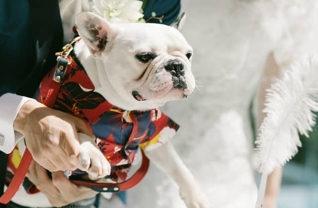 LUMIAMORE(ルミアモーレ)