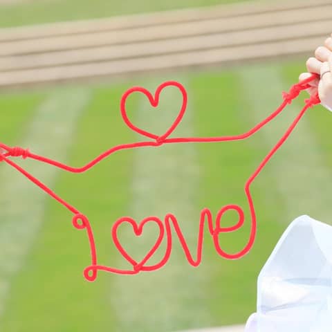 【2026年7月~9月限定】デザートブッフェにアイス!?サマープラン