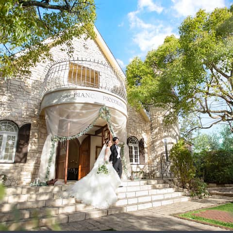 The Green Carmel ザ・グリーンカーメル