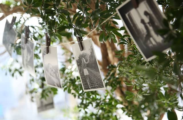 THE STYLE(ザ・スタイル) | 【岡山駅から5分の好立地】地上101m、高層階のウエディング