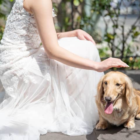 【ペット婚プラン】大切な家族と過ごすペットウエディング