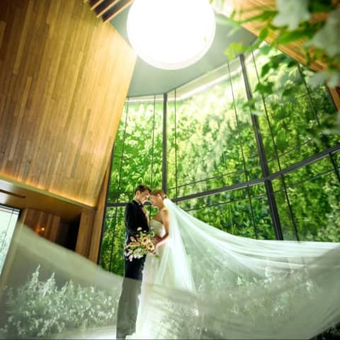 NEEDS神宮前 by T&G WEDDING(旧 アルモニーソルーナ表参道)