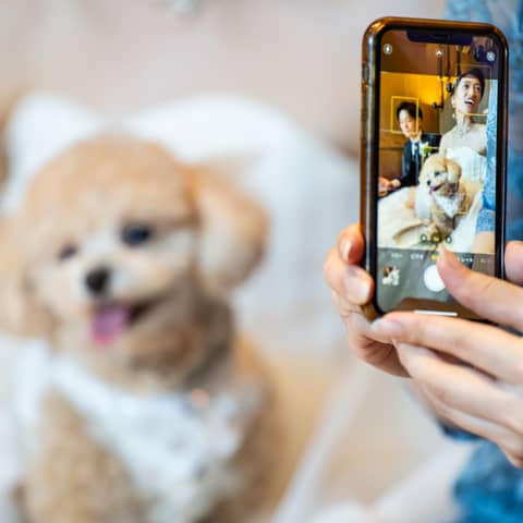 ペットと一緒の結婚式\ワンちゃん用お食事付♪/