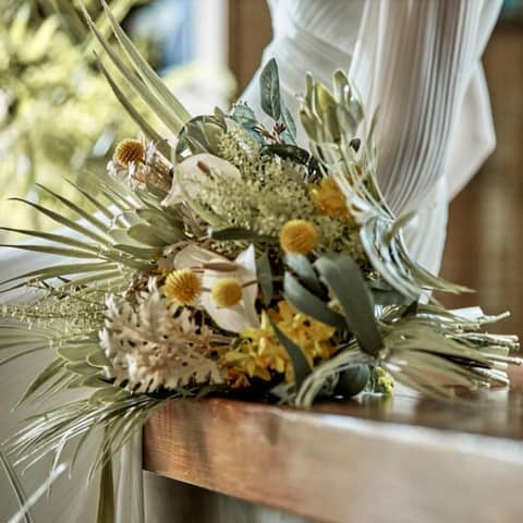 ≪空き日残り僅か≫26年10月~26年12月 シーズンプラン