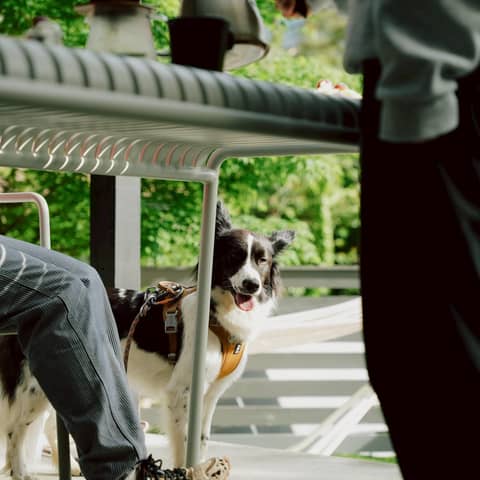 【公式】山梨の少人数結婚式ならwedding norm.