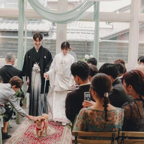 pecorino wedding(ペコリーノウェディング)