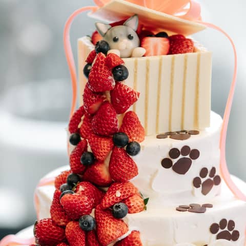 【ペット婚誕生!】アニマルウェディングプラン