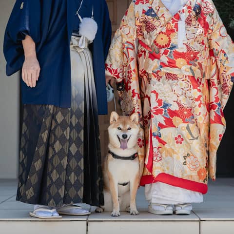 【ペット婚誕生!】アニマルウェディングプラン