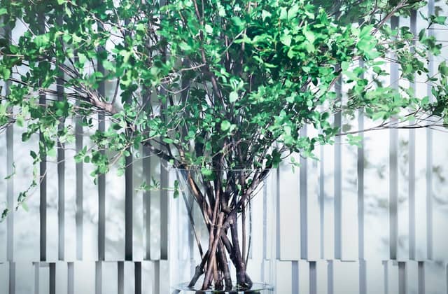 MARINE TOWER WEDDING(マリンタワー ウエディング)|神奈川 横浜 結婚式場