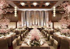 『縁～YUKARI～』グレードアップ記念特別プラン