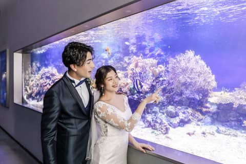 リゾートフォトウェディング 鳥羽水族館付きプラン