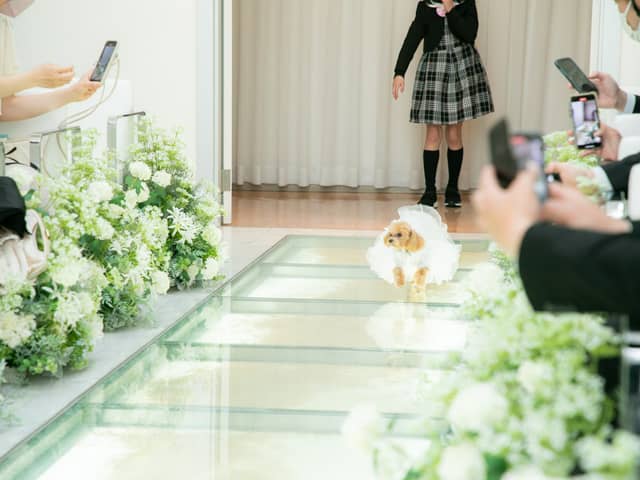 【公式】ティアラ ザ ガーデンハウス｜岡山の結婚式場｜プライベートガーデン付き一軒家貸切邸宅で寛ぎW