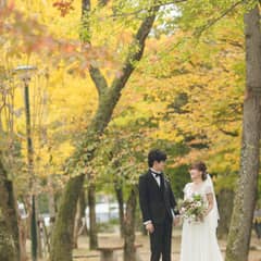 フォトプラン｜12月末迄【176,000円】文化財フォト