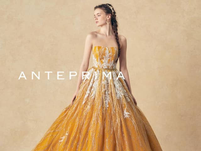 The Green Carmel     ザ・グリーンカーメル