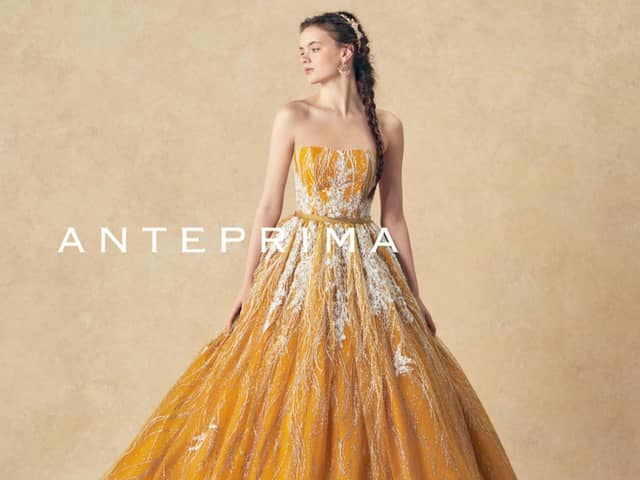 The Green Carmel ザ・グリーンカーメル