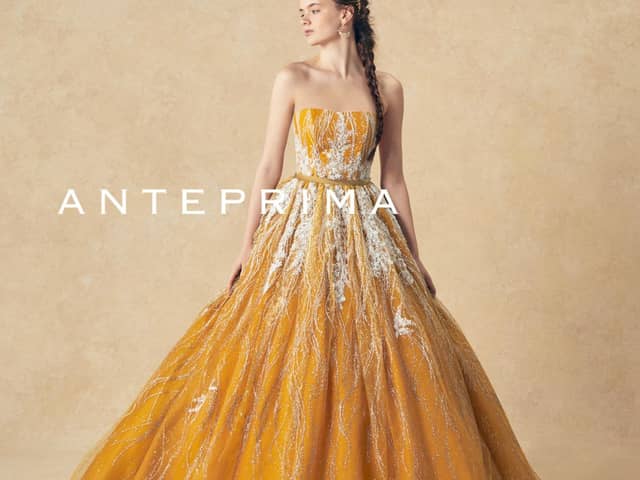 The Green Carmel ザ・グリーンカーメル