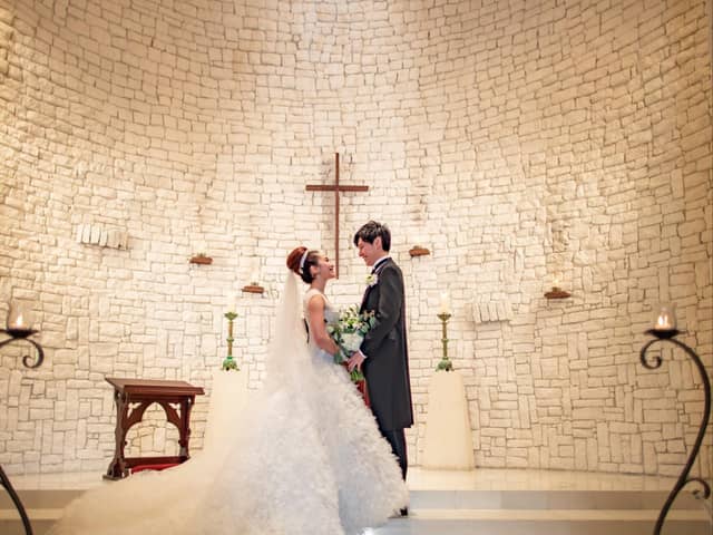 The Green Carmel     ザ・グリーンカーメル