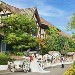 先取り！◇【2025年8月限定】緑溢れるSUMMER WEDDIN