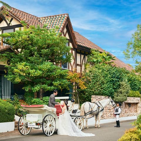 The Green Carmel     ザ・グリーンカーメル