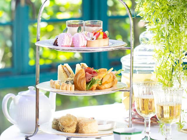 The Green Carmel     ザ・グリーンカーメル