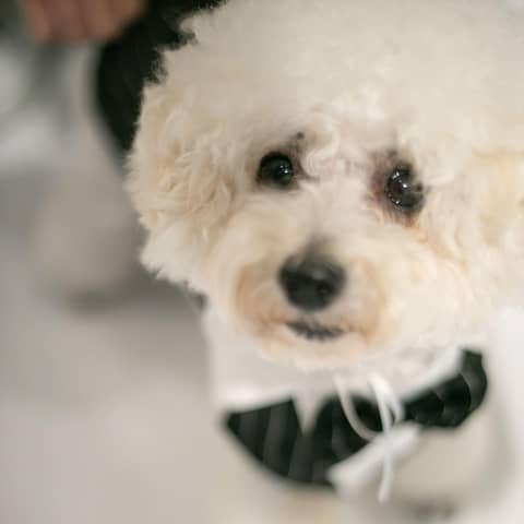 THE STYLE(ザ・スタイル) | 【岡山駅から5分の好立地】地上101m、高層階のウエディング