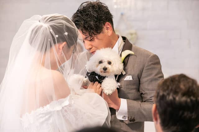 THE STYLE(ザ・スタイル) | 【岡山駅から5分の好立地】地上101m、高層階のウエディング