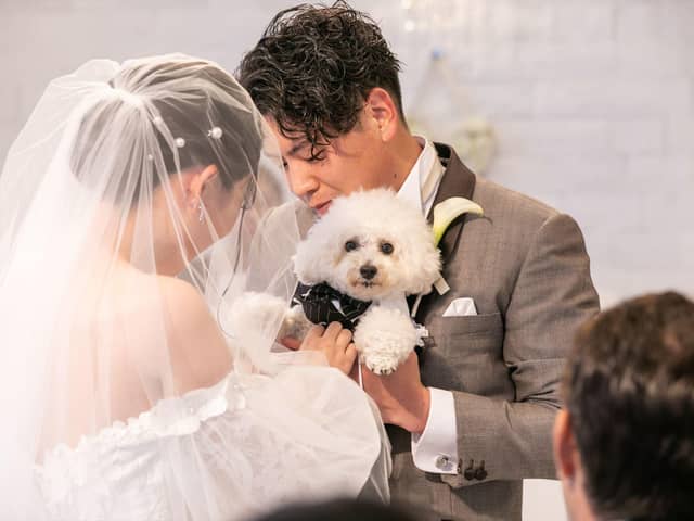 THE STYLE(ザ・スタイル) | 【岡山駅から5分の好立地】地上101m、高層階のウエディング