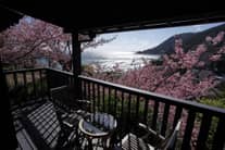 Enchante/ひたちなか本店　小野写真館グループ