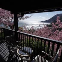 Enchante/ひたちなか本店 小野写真館グループ