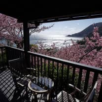 Enchante/ひたちなか本店 小野写真館グループ