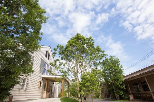 BARN&FOREST(バーン&フォレスト)148|千葉県(流山・柏)の結婚式場