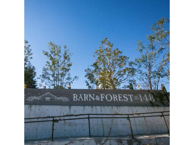 BARN＆FOREST（バーン&フォレスト）148｜千葉県（流山・柏）の結婚式場