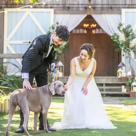 ◇ペットと一緒に叶えるWプラン♪◇60名335万円*最大47万円OFF