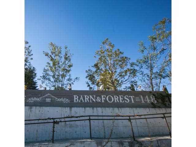BARN&FOREST(バーン&フォレスト)148|千葉県(流山・柏)の結婚式場