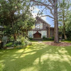 ◇パーティーのみプラン◇50名243万円◆最大73万円OFF◆