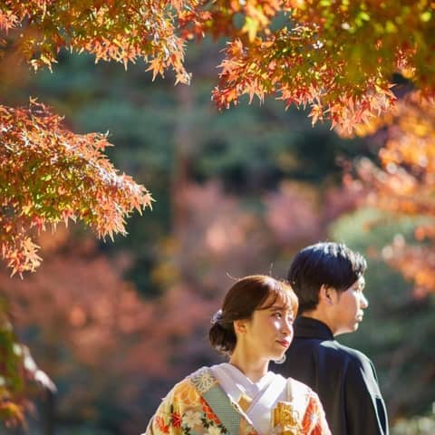 『25年12月名建築＆神前式「紅葉」プラン』《391万円⇒369万円》