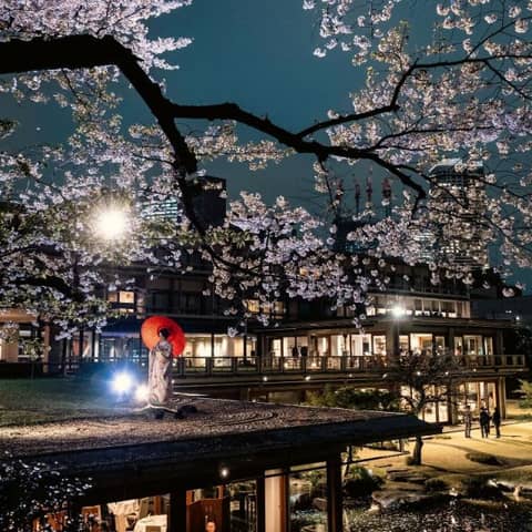 『25年6~8月名建築神前式「萌葱」プラン』