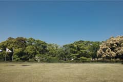 【2025年5月OPEN】美術館カフェでガーデンウェディング