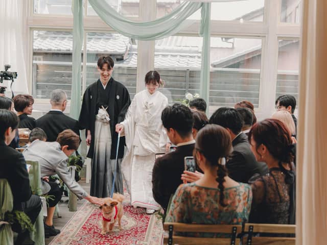 【公式】pecorino wedding(ペコリーノウェディング)