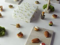 パティーナ大阪 こだわりのお料理