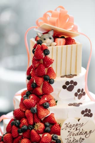 【ペット婚誕生！】アニマルウェディングプラン