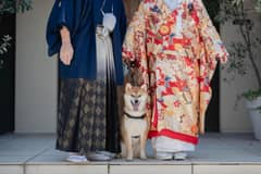 【ペット婚誕生！】アニマルウェディングプラン