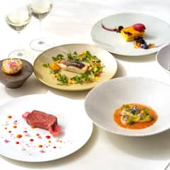 【30名／フォト＋食事会】ドレスを着て、美食を堪能する＜ドレス会食＞